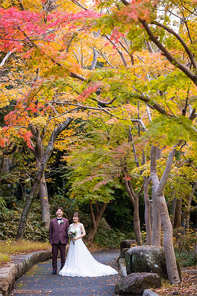 お得な洋装1着プラン