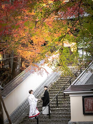 おしゃれなウエディングフォト人気の紅葉ロケーション撮影