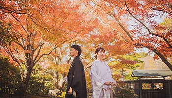秋の紅葉で結婚式の前撮りウエディングフォト撮影