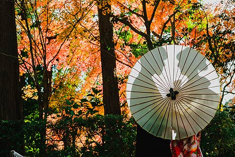 結婚式ロケーションフォト紅葉で前撮り撮影04