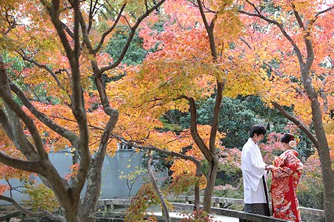 結婚式ロケーションフォト紅葉で前撮り撮影06