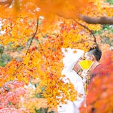 紅葉フォトウエディング写真No.003