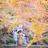 紅葉フォトウエディング写真No.004