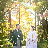 紅葉フォトウエディング写真No.005