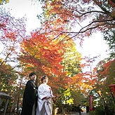紅葉フォトウエディング写真No.009