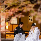 紅葉フォトウエディング写真No.015