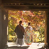 紅葉フォトウエディング写真No.016