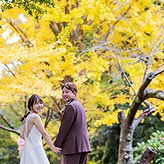 紅葉フォトウエディング写真No.018
