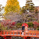 紅葉フォトウエディング写真No.024