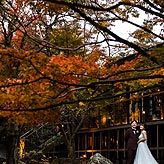 紅葉フォトウエディング写真No.026