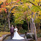 紅葉フォトウエディング写真No.030