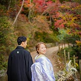 紅葉フォトウエディング写真No.031