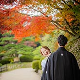 紅葉フォトウエディング写真No.033