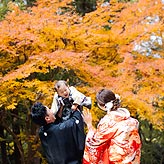 紅葉フォトウエディング写真No.035