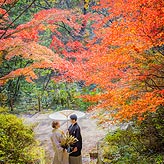 紅葉フォトウエディング写真No.036