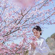 おしゃれな結婚式前撮りフォトウエディング