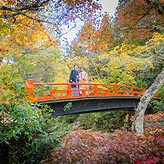 宮島フォトウエディング写真No.018