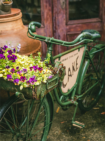 結婚式ロケーションフォトぬくもりの森で前撮り撮影01