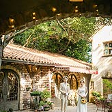 ぬくもりの森フォトウエディング写真No.002