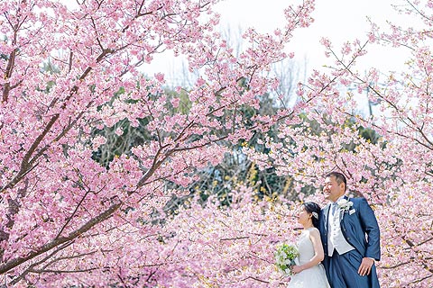 結婚式ロケーションフォト桜で前撮り撮影05