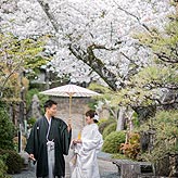 桜フォトウエディング写真No.025