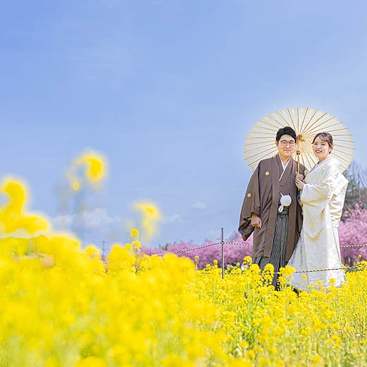 浜松のロケフォト東大山河津桜ギャラリー02