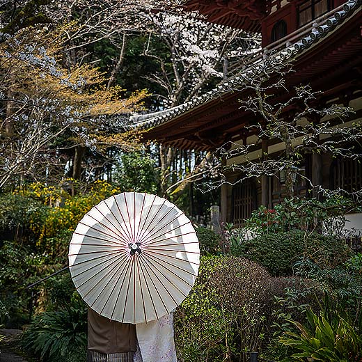 浜松のロケフォト龍潭寺ギャラリー05