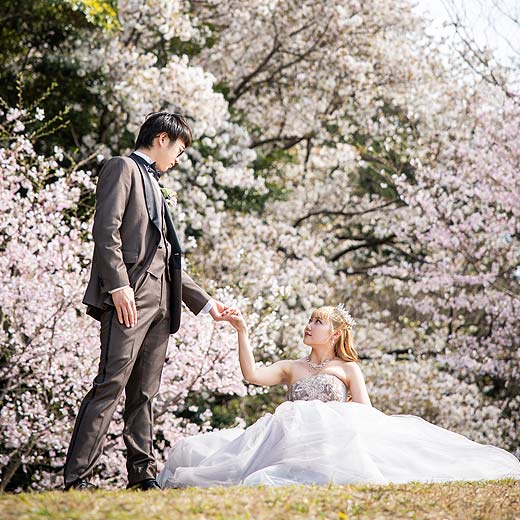 浜松のロケフォト佐鳴湖公園ギャラリー01