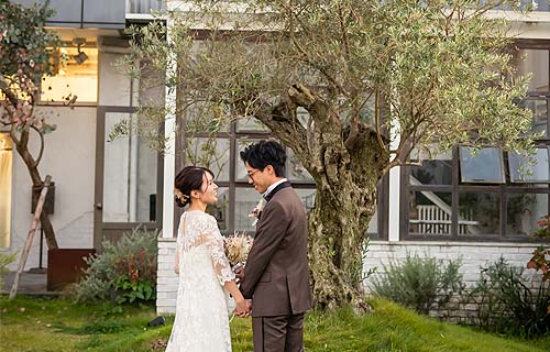 掛川市フォトスタジオの自慢のシンボルツリーで結婚式の前撮り撮影