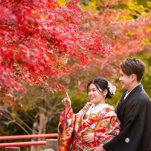 掛川のロケフォト掛川城ギャラリー02