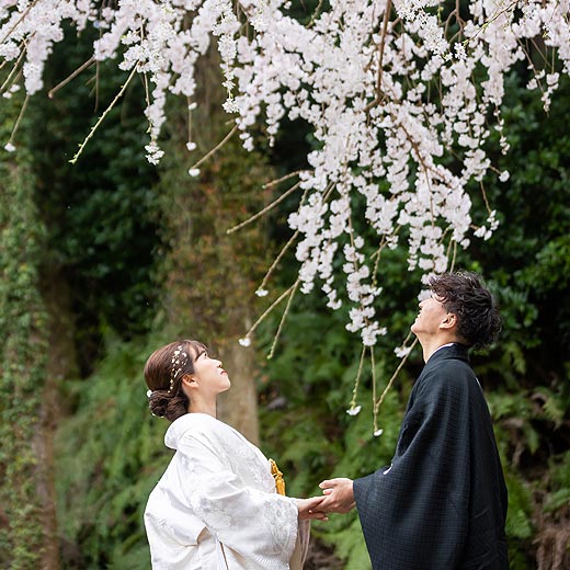 掛川のロケフォト可睡斎ギャラリー02