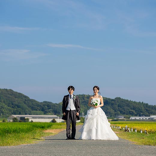 掛川のロケフォト森町とうもろこし畑ギャラリー01