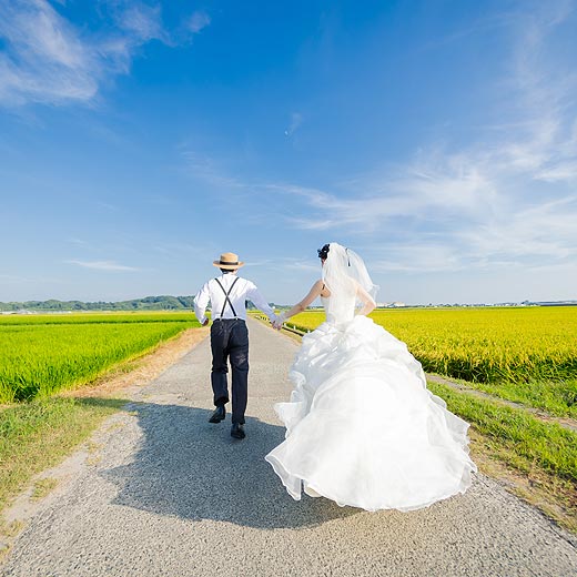 掛川のロケフォト森町とうもろこし畑ギャラリー07