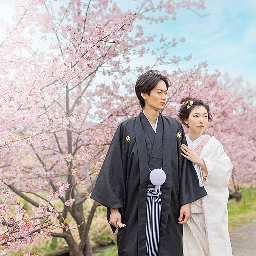 静岡のロケフォトあさはた緑地ギャラリー01