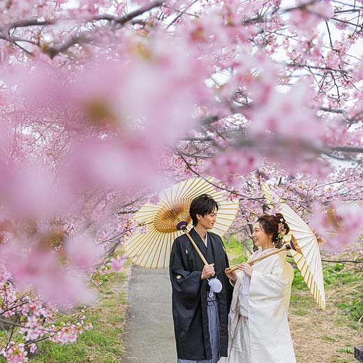 静岡のロケフォトあさはた緑地ギャラリー04