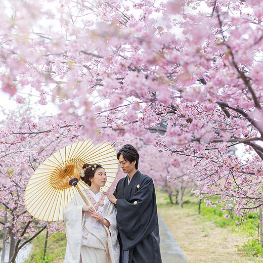 静岡のロケフォトあさはた緑地ギャラリー07