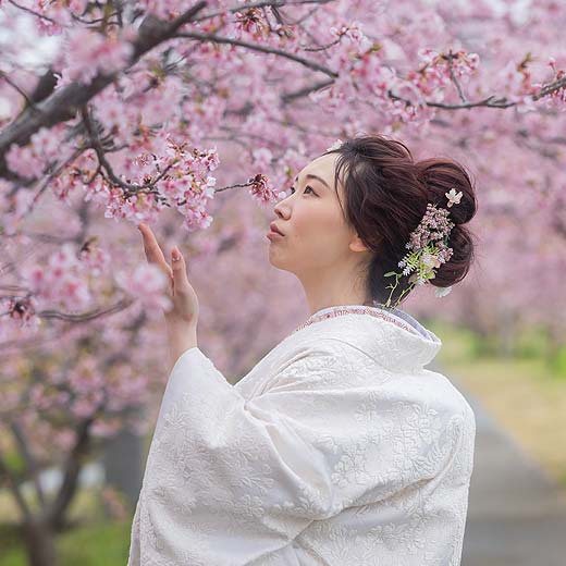 静岡のロケフォトあさはた緑地ギャラリー10