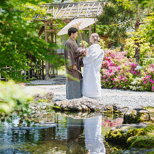 静岡のロケフォト玉露の里ギャラリー01