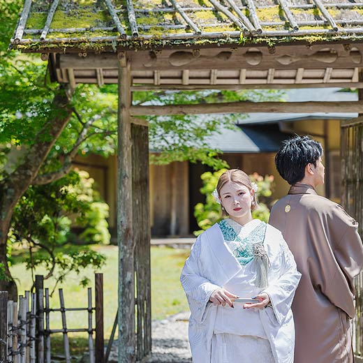 静岡のロケフォト玉露の里ギャラリー02