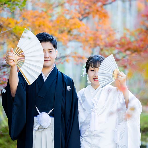 静岡のロケフォト玉露の里ギャラリー07