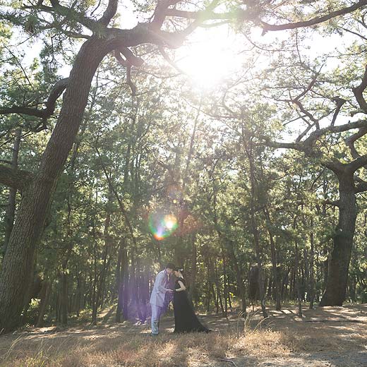 静岡のロケフォト三保の松原ギャラリー10