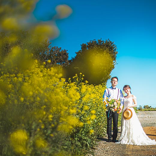 豊川のロケフォト加治の花畑ギャラリー01