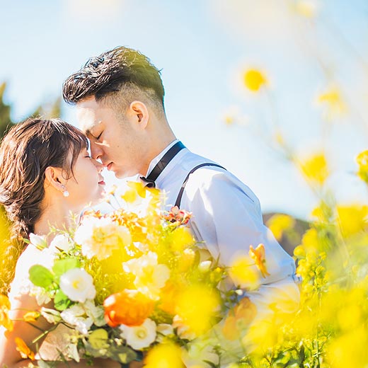 豊川のロケフォト加治の花畑ギャラリー02