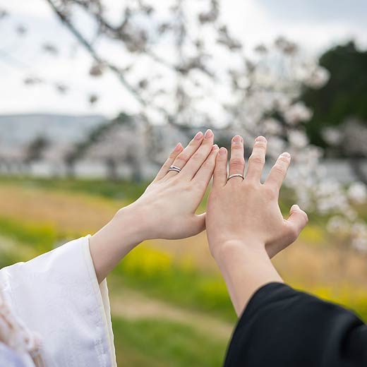 豊川のロケフォト佐奈川ギャラリー09