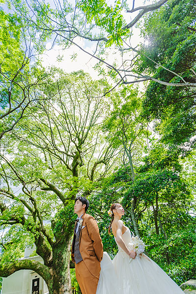 お得な洋装1着プラン