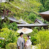 緑葉フォトウエディング写真No.001