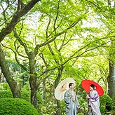 緑葉フォトウエディング写真No.013