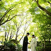 緑葉フォトウエディング写真No.015