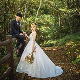 緑葉フォトウエディング写真No.019