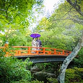 緑葉フォトウエディング写真No.023